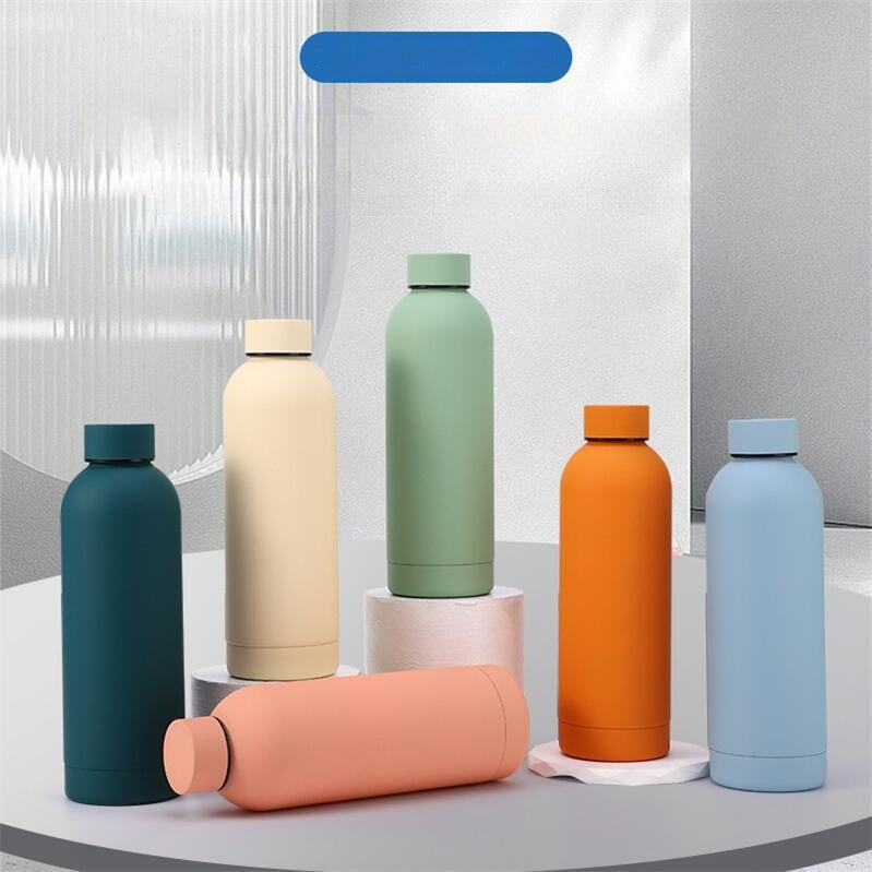 Stainless Steel Water Bottle