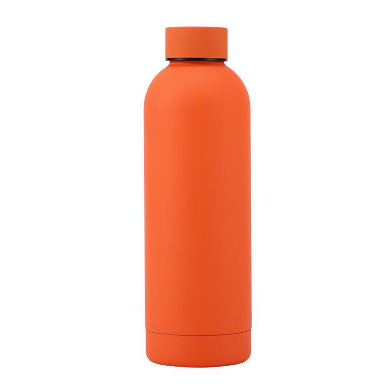 Stainless Steel Water Bottle