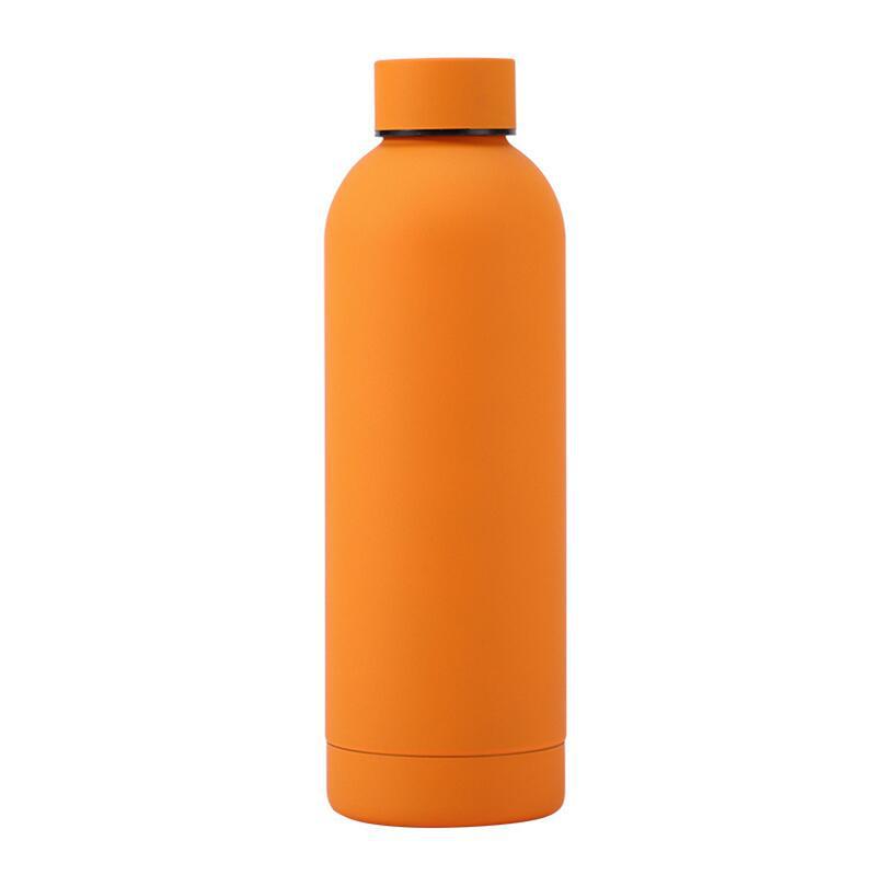 Stainless Steel Water Bottle
