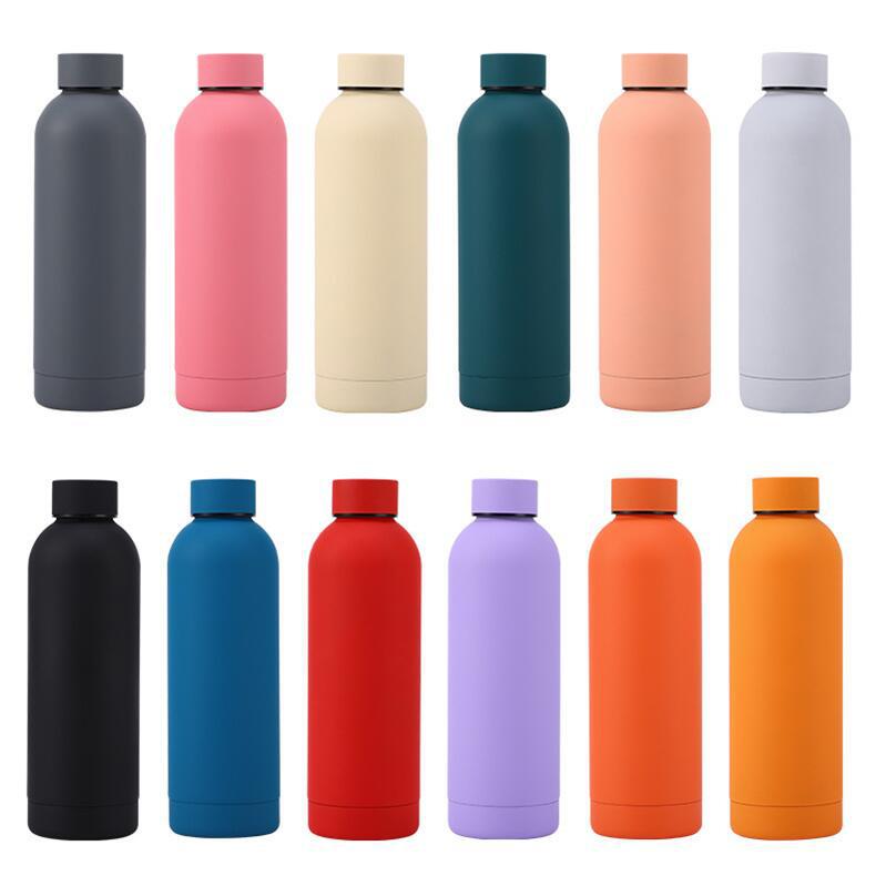 Stainless Steel Water Bottle