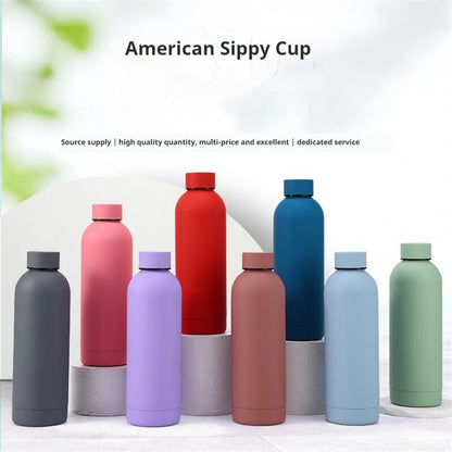 Stainless Steel Water Bottle
